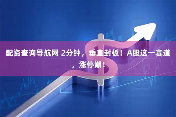配资查询导航网 2分钟，垂直封板！A股这一赛道，涨停潮！