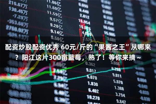 配资炒股配资优秀 60元/斤的“果酱之王”从哪来？阳江这片300亩蓝莓，熟了！等你来摘～