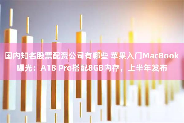 国内知名股票配资公司有哪些 苹果入门MacBook曝光：A18 Pro搭配8GB内存，上半年发布